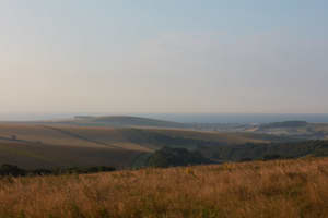 South Downs National Park picture 1