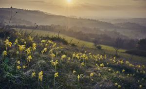 South Downs National Park picture 3