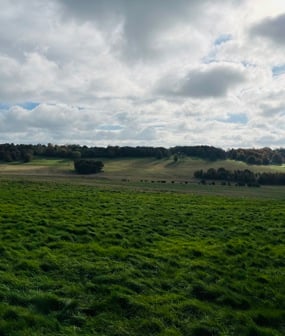 Woolley Downs Nature Recovery