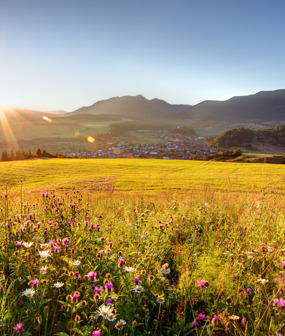 Land at Romden Road, Ashford