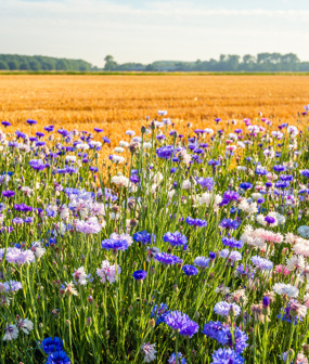 Derbyshire Habitat Bank