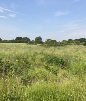 Hampshire Habitat Bank