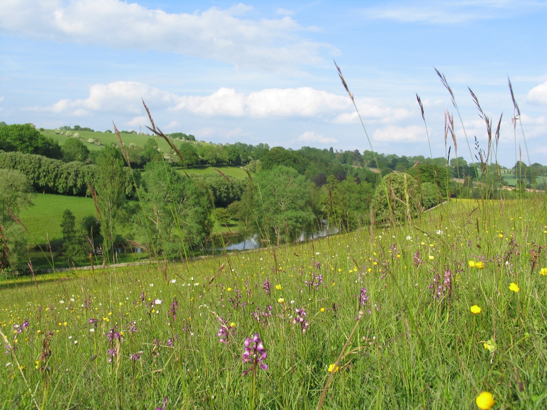 Duxford Habitat Bank Duxford Habitat Bank