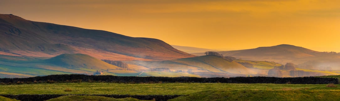 Image of AdobeStock_1594817002