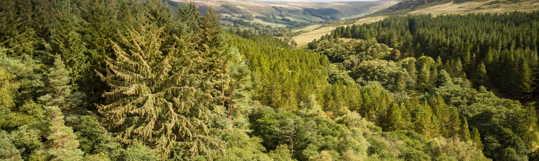 Image of AdobeStock_1763450351