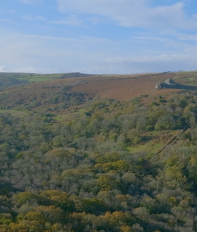 East Dartmoor Champion