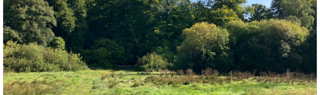 Image of Untitled design (9)