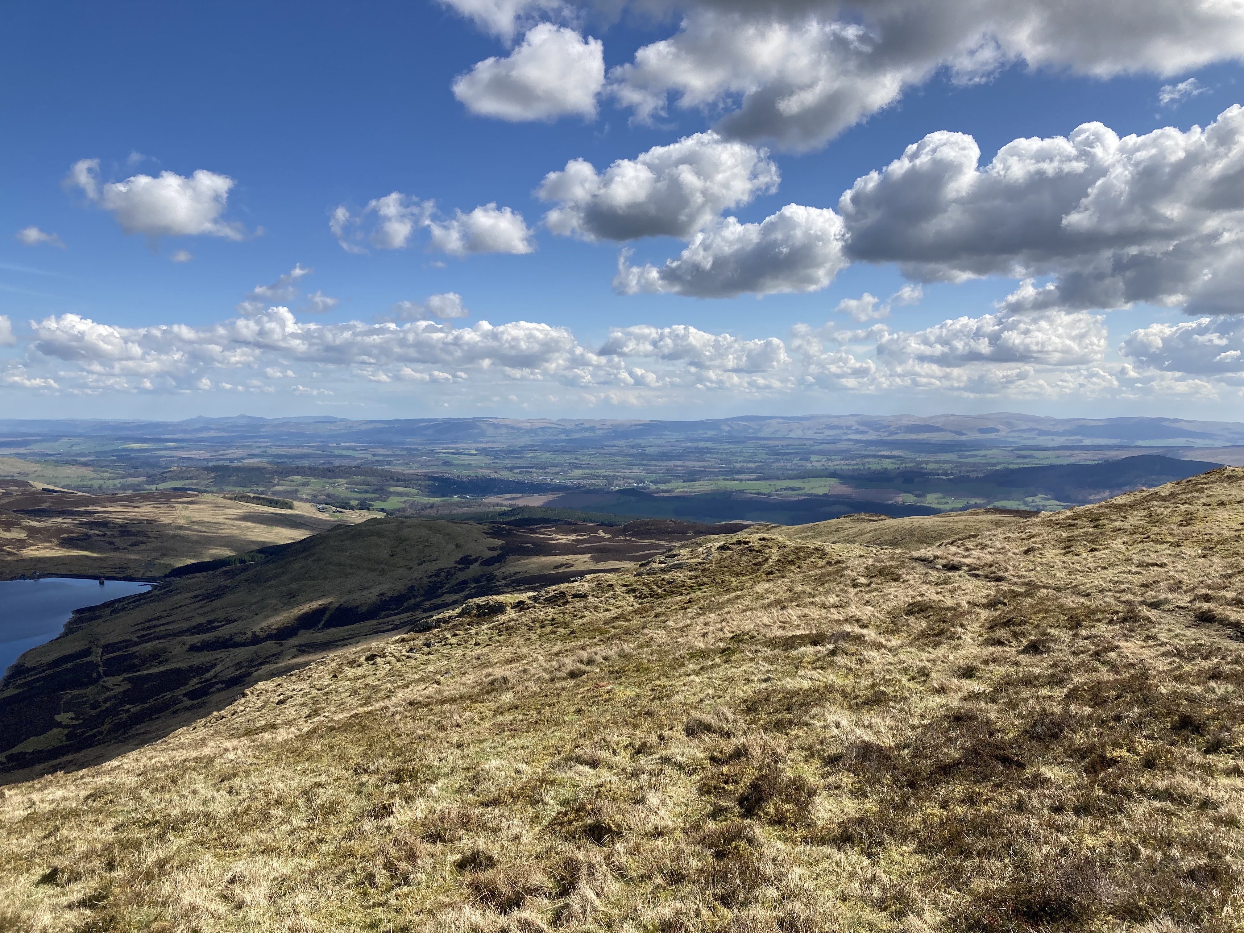 Transforming the management of a Highland estate to deliver for nature and the climate