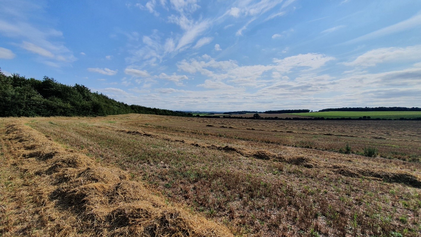 Establishing a pioneering innovative biodiversity net gain initiative in South Cambridgeshire