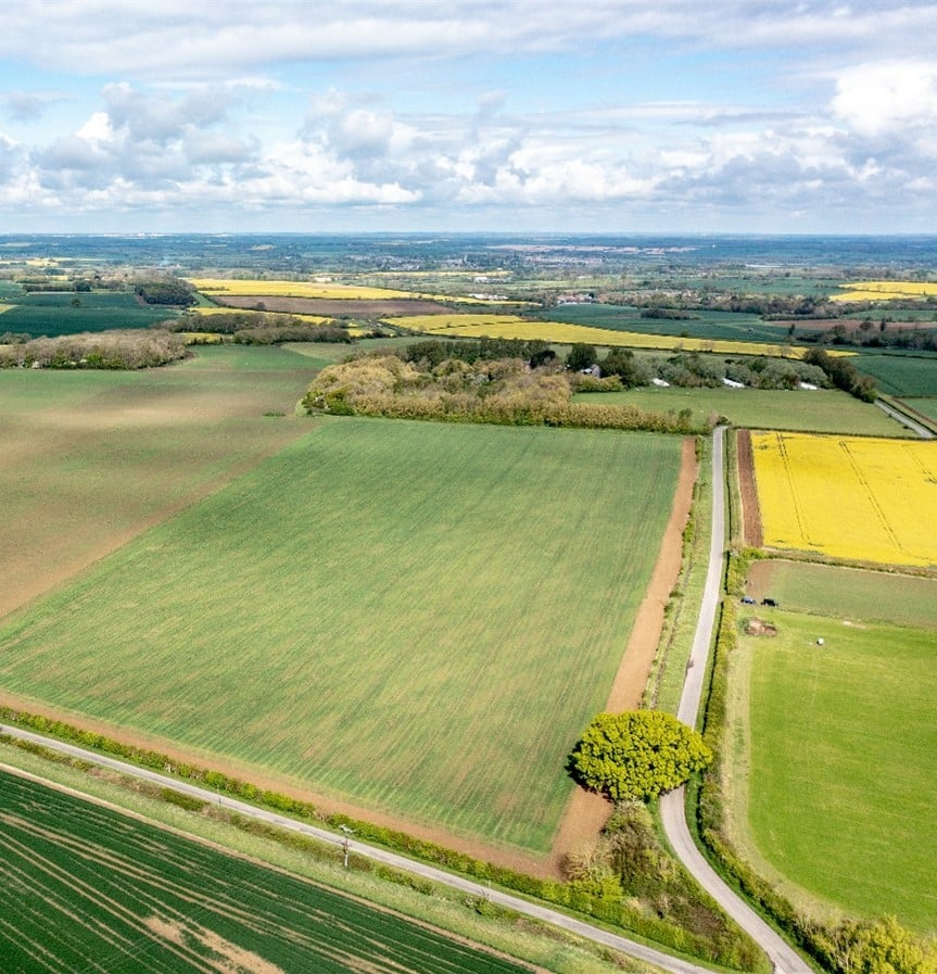 Organic arable land achieves 15% over the guide price