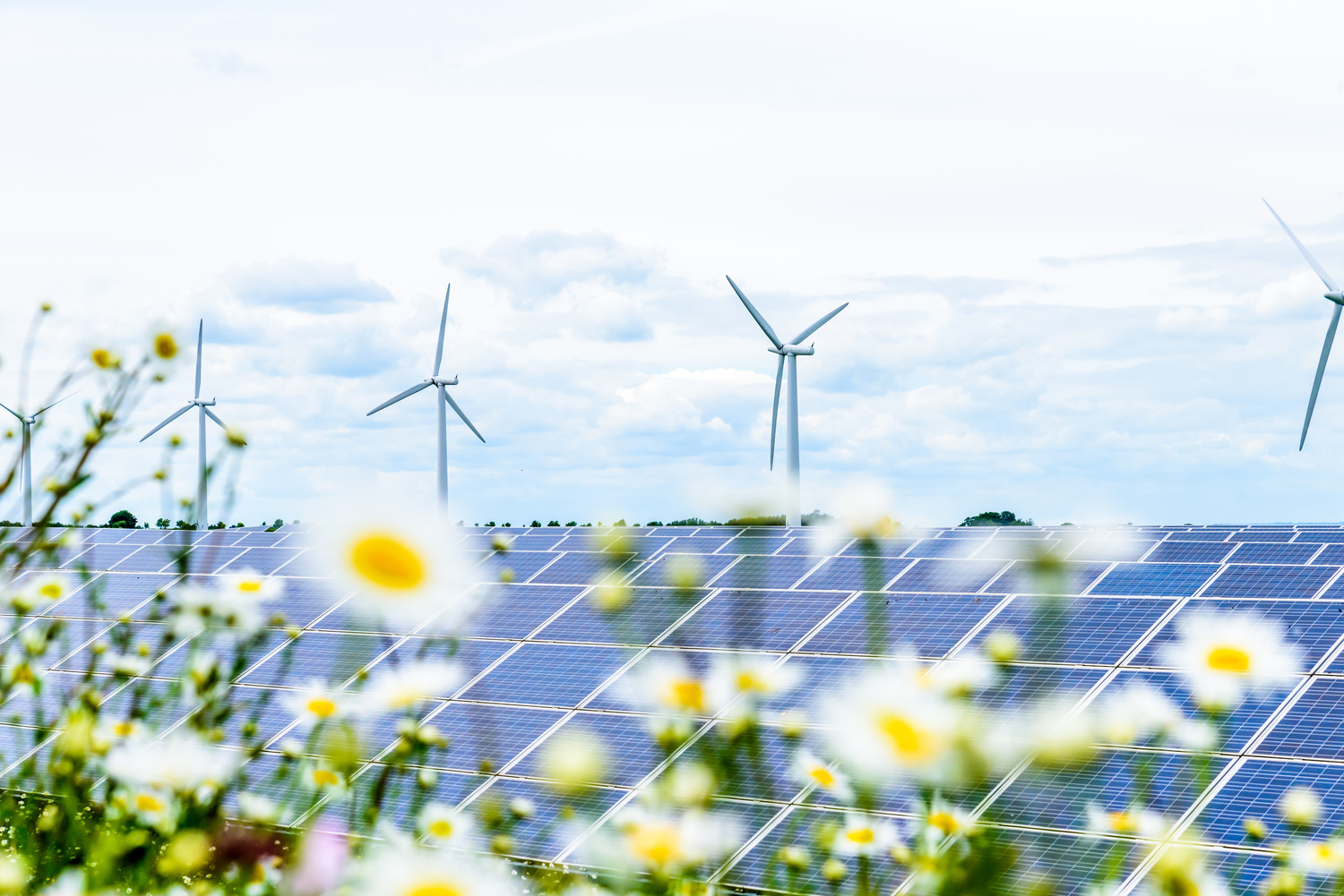 Co-located solar, onshore wind, battery storage and green hydrogen production.