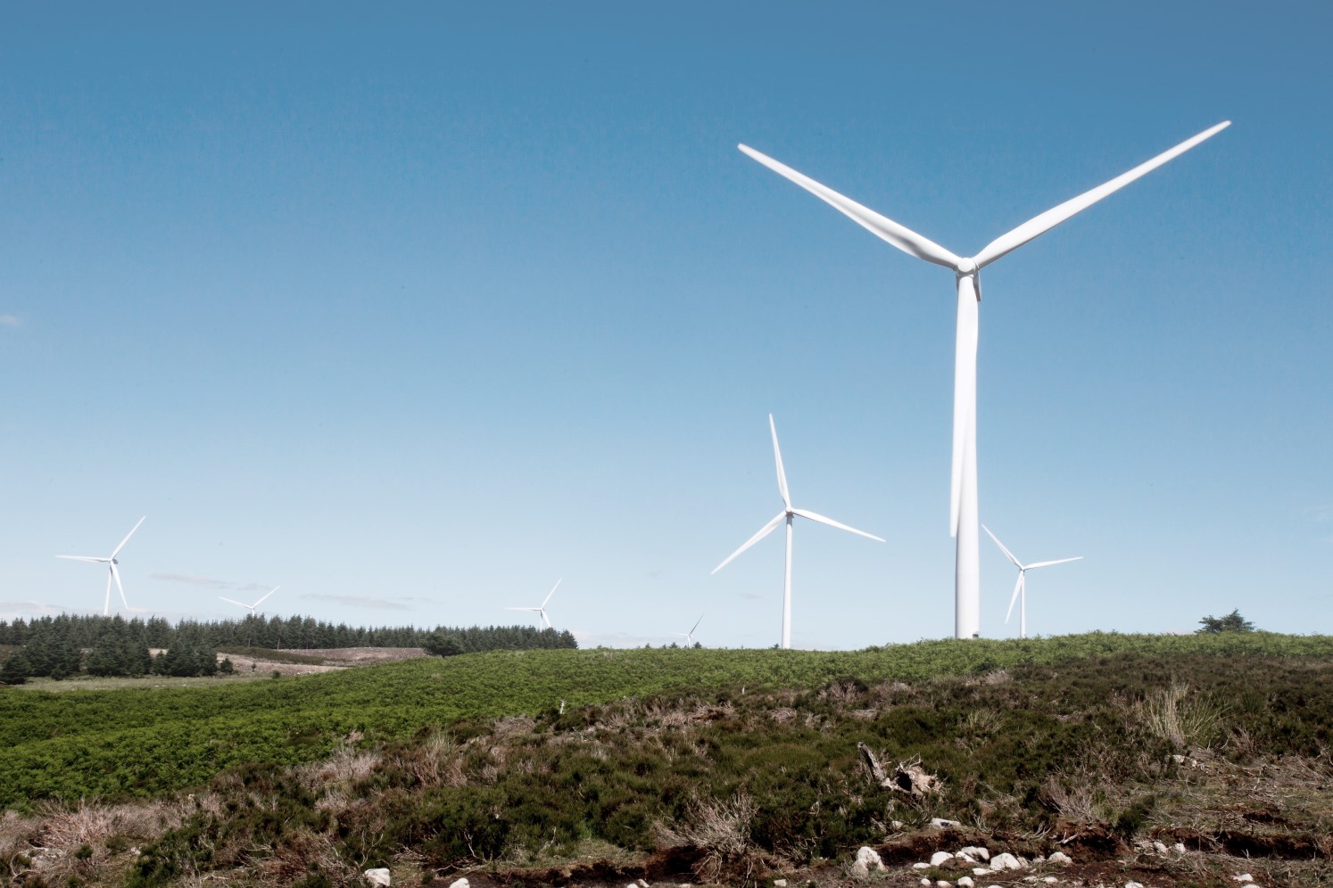 Enabling responsible investment practice by negotiating terms for a large-scale wind farm in South-west Scotland.