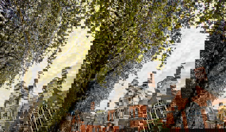 St Pauls 14