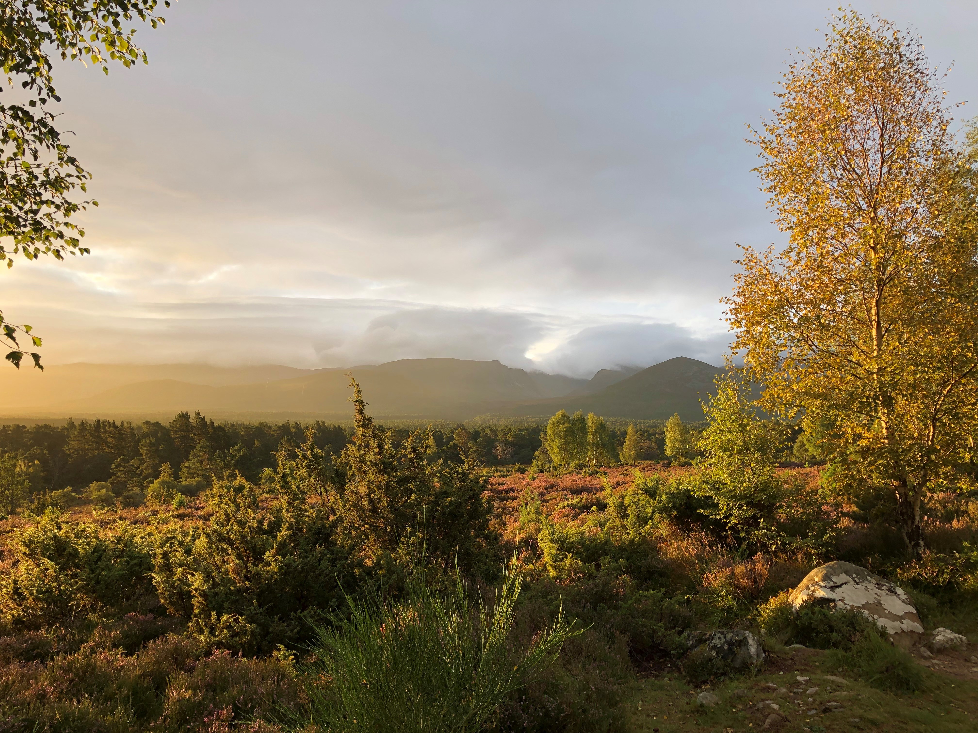 Beyond Carbon - Financing Biodiversity