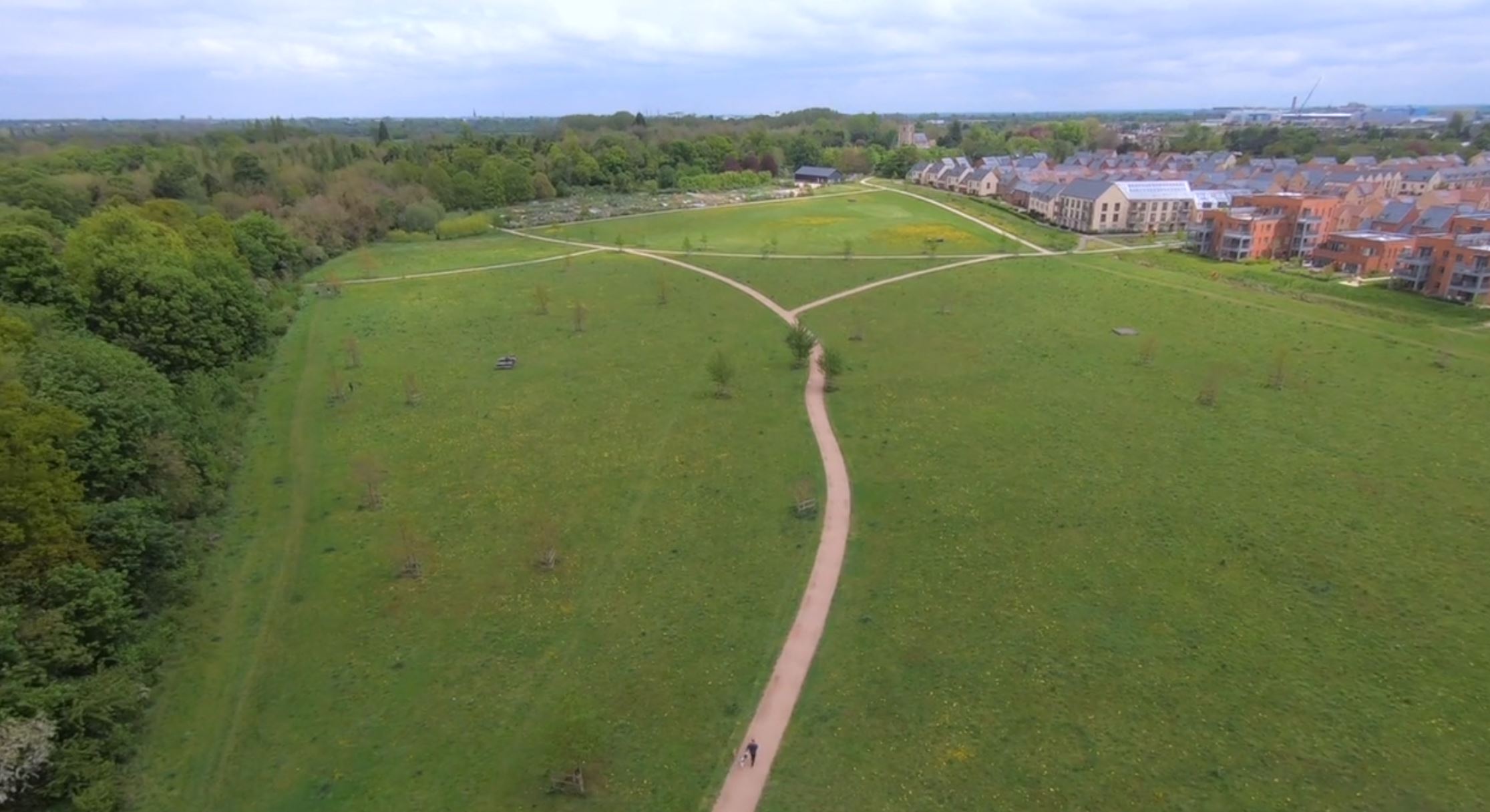 Biodiversity netting gains in Greater Cambridge