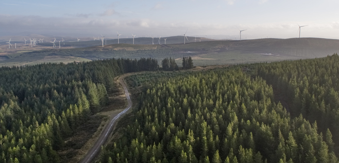 Image of Cumberhead_036