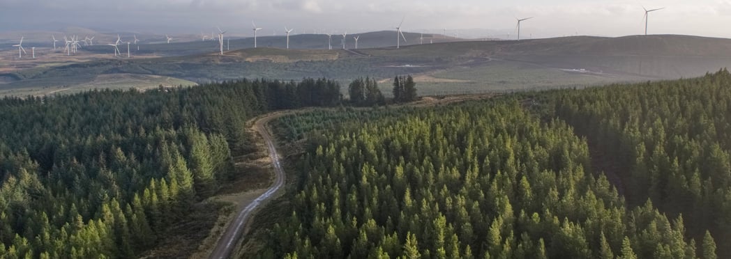 Image of Cumberhead_036