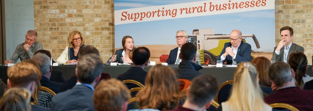 Image of Hustings blog