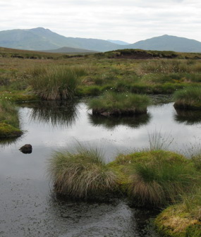 Image creditation: UKCEH