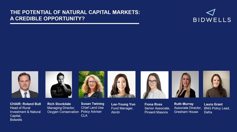 Natural Capital Panel