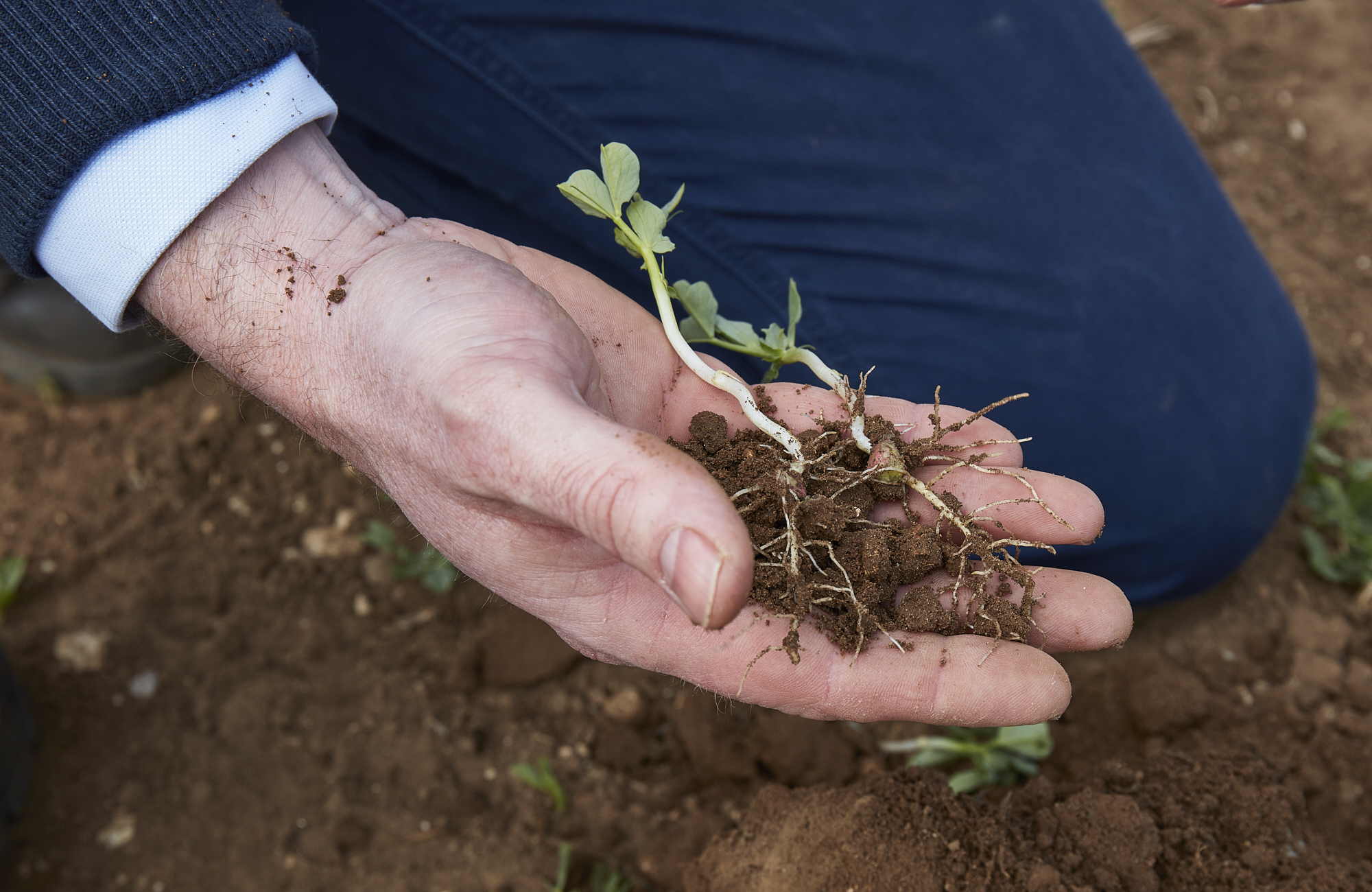 Bidwells Strengthens Its Agriculture & Environment Team With Two Key Appointments