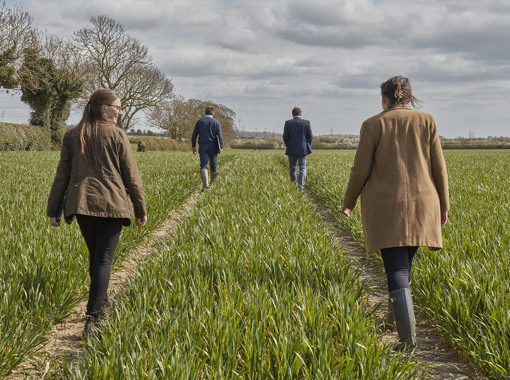 Fordham_Wet_Woods_And_Great_Wilbraham_210421 47