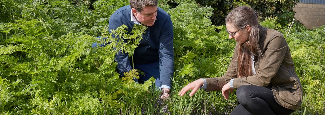 Fordham_Wet_Woods_And_Great_Wilbraham_210421 50