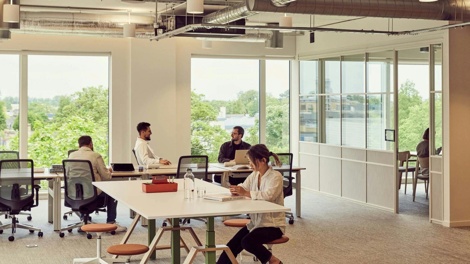 office1.jpg office