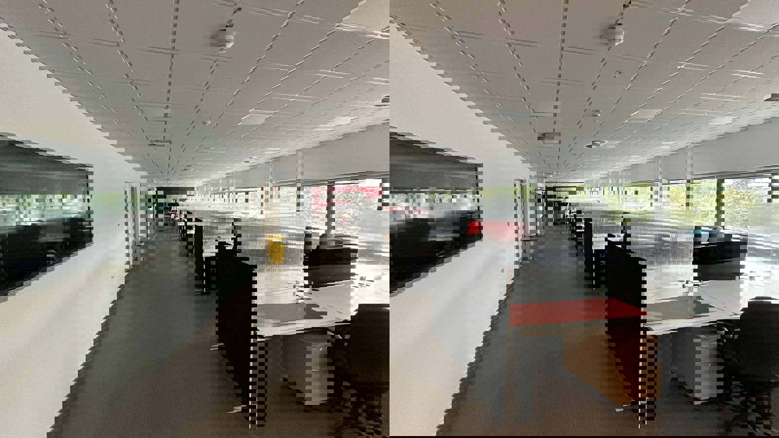 IMG_6049.jpeg IMG_6048