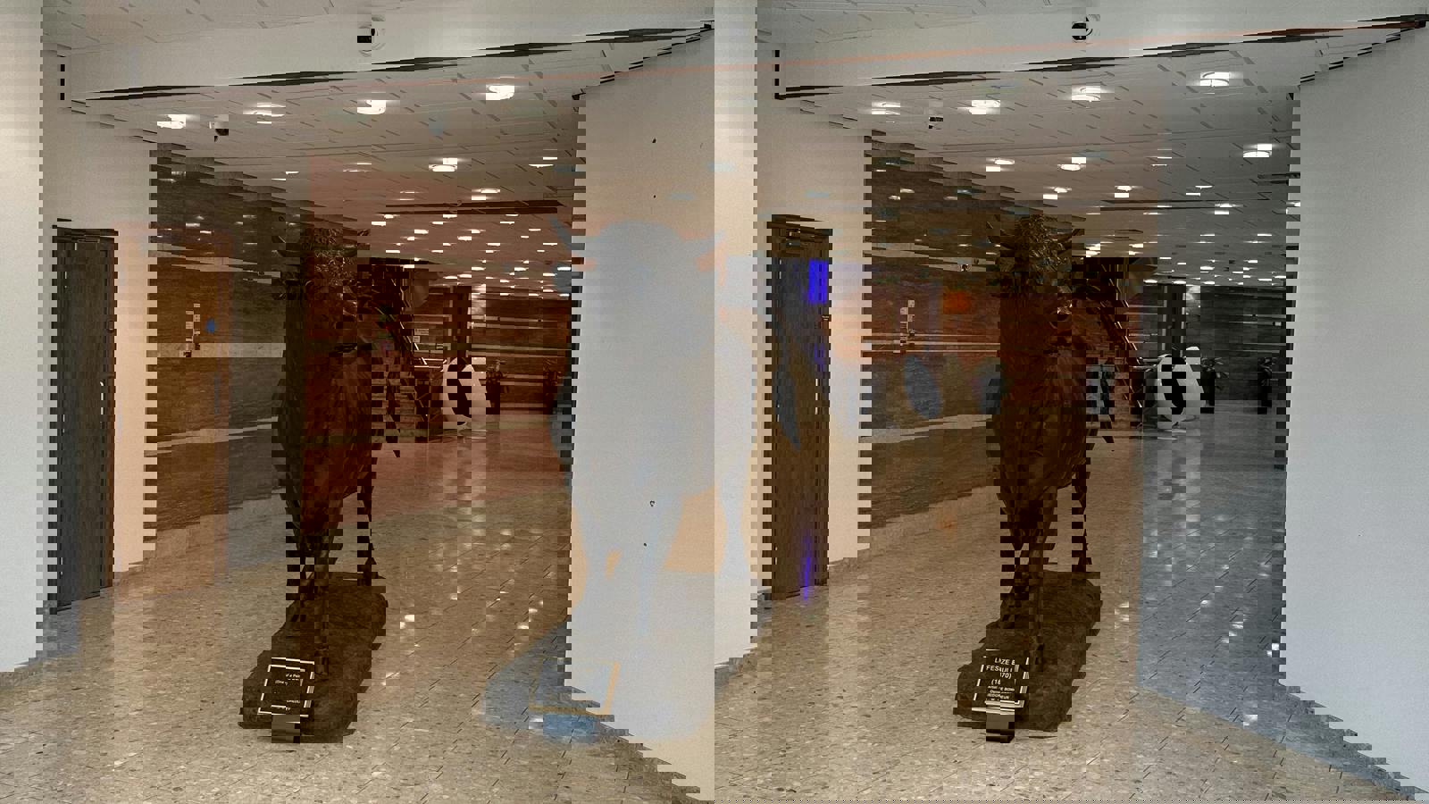 Image 19.jpeg Image 11