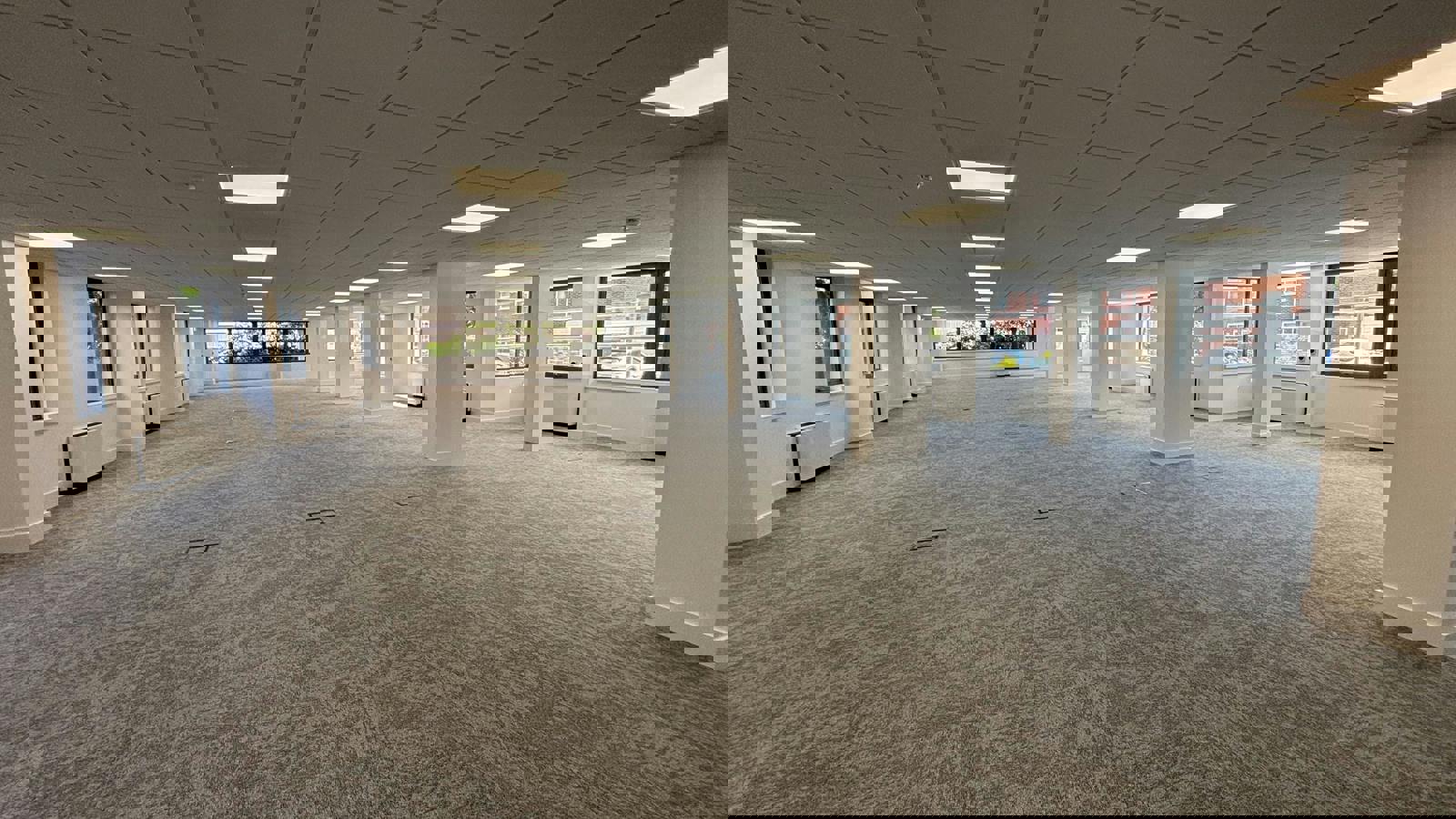 IMG_8973.jpg IMG_8972