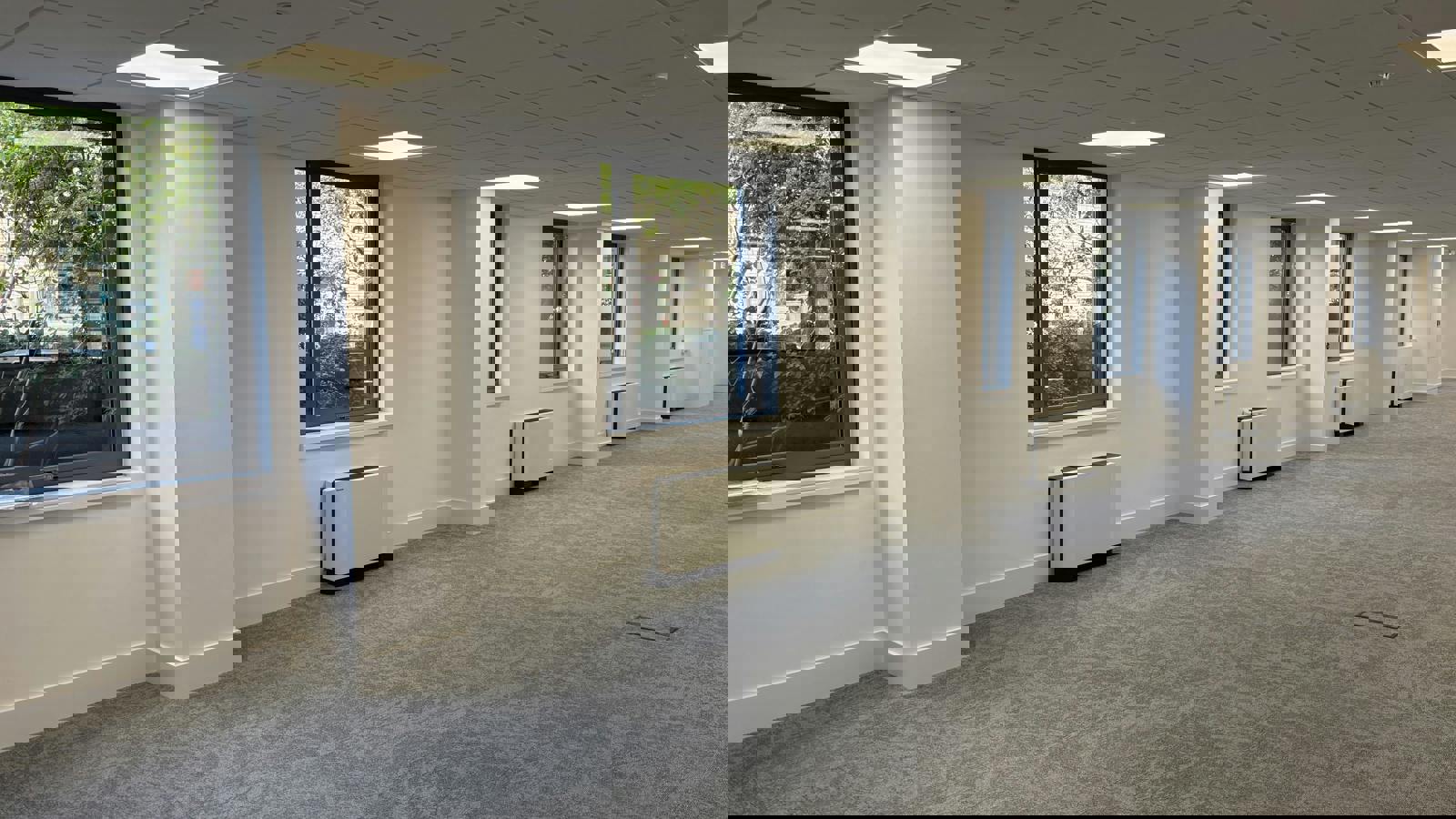 IMG_8975.jpg IMG_8974