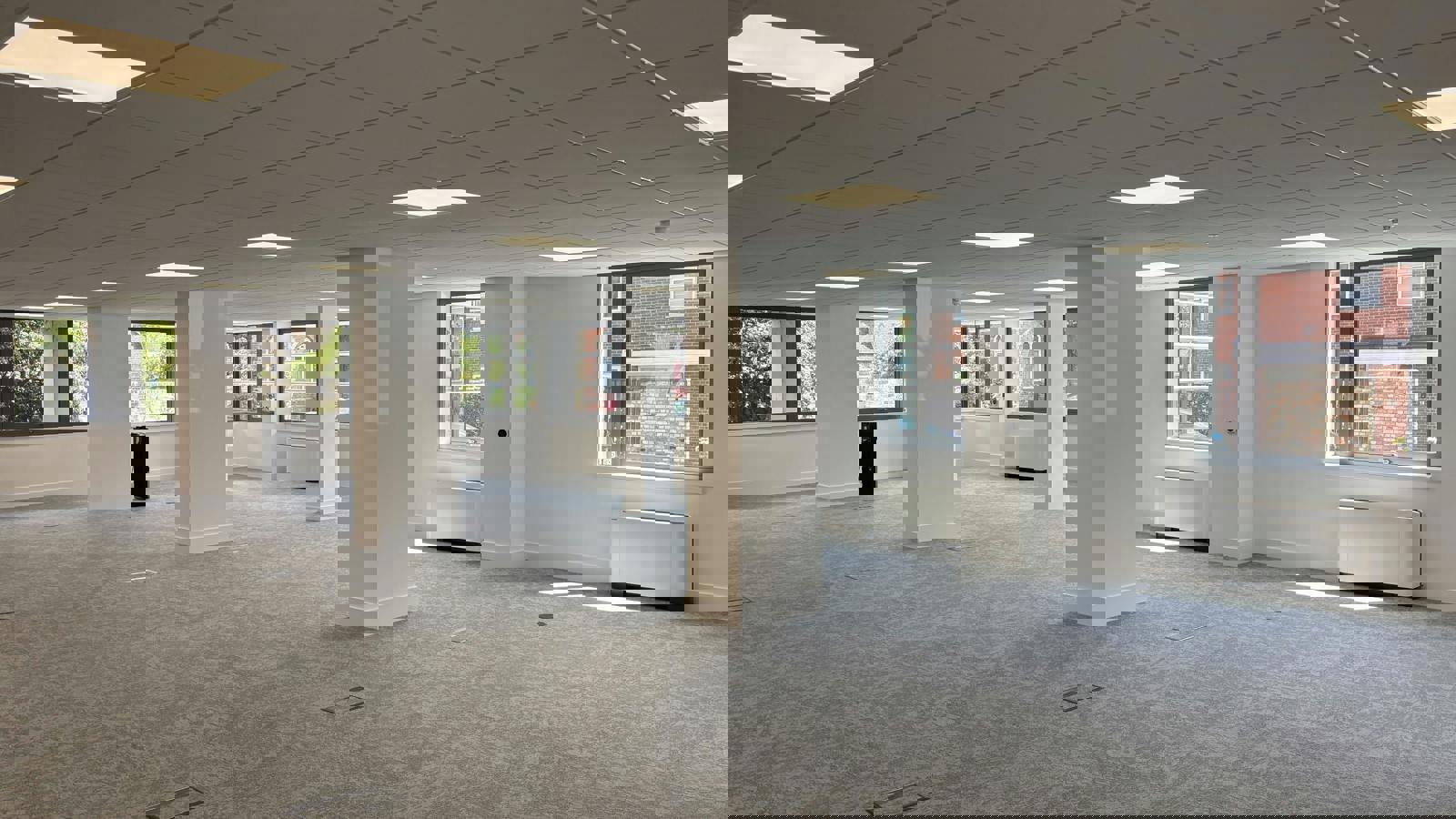 IMG_8981.jpg IMG_8980