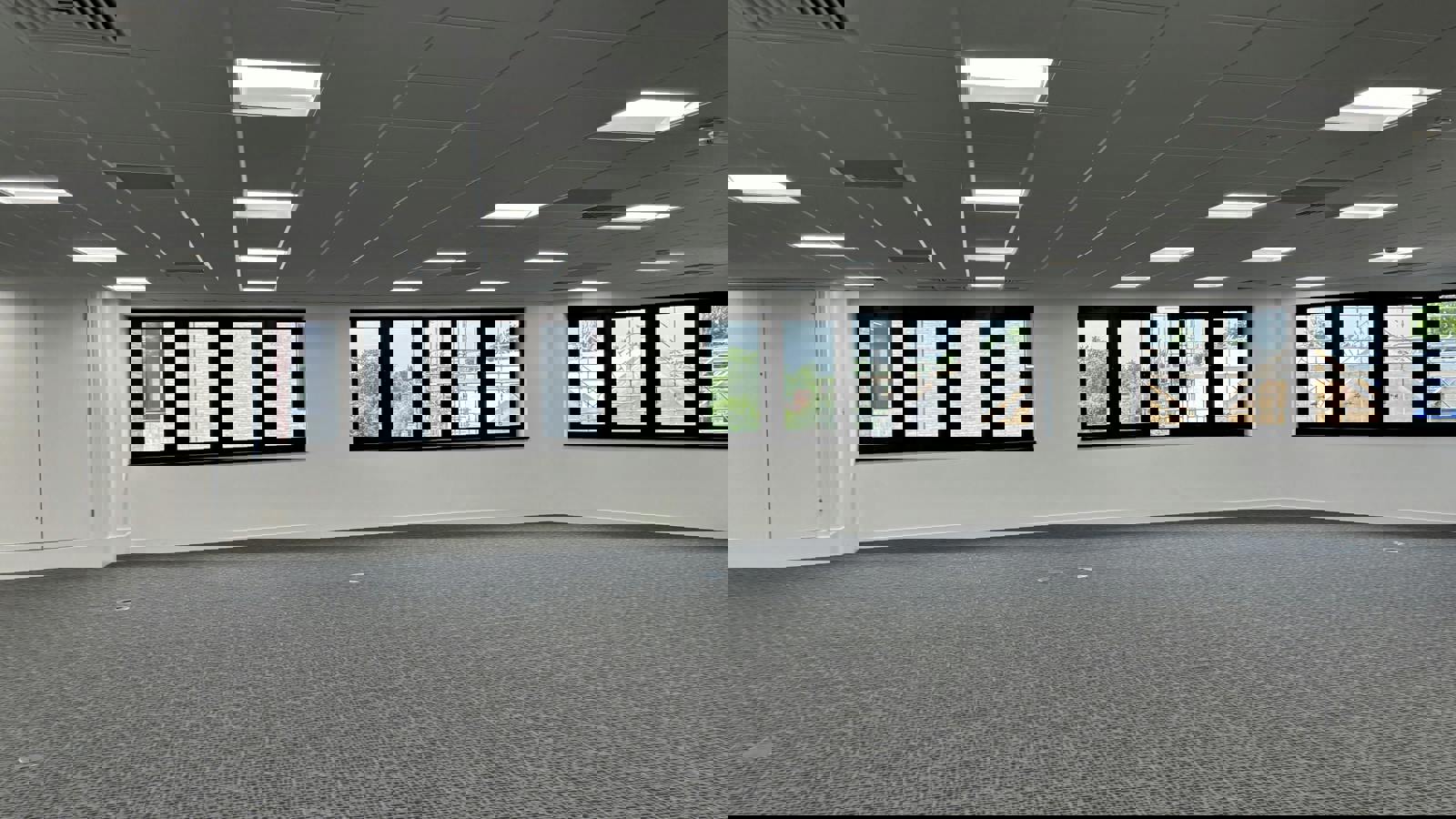 IMG_2253.jpg IMG_2252