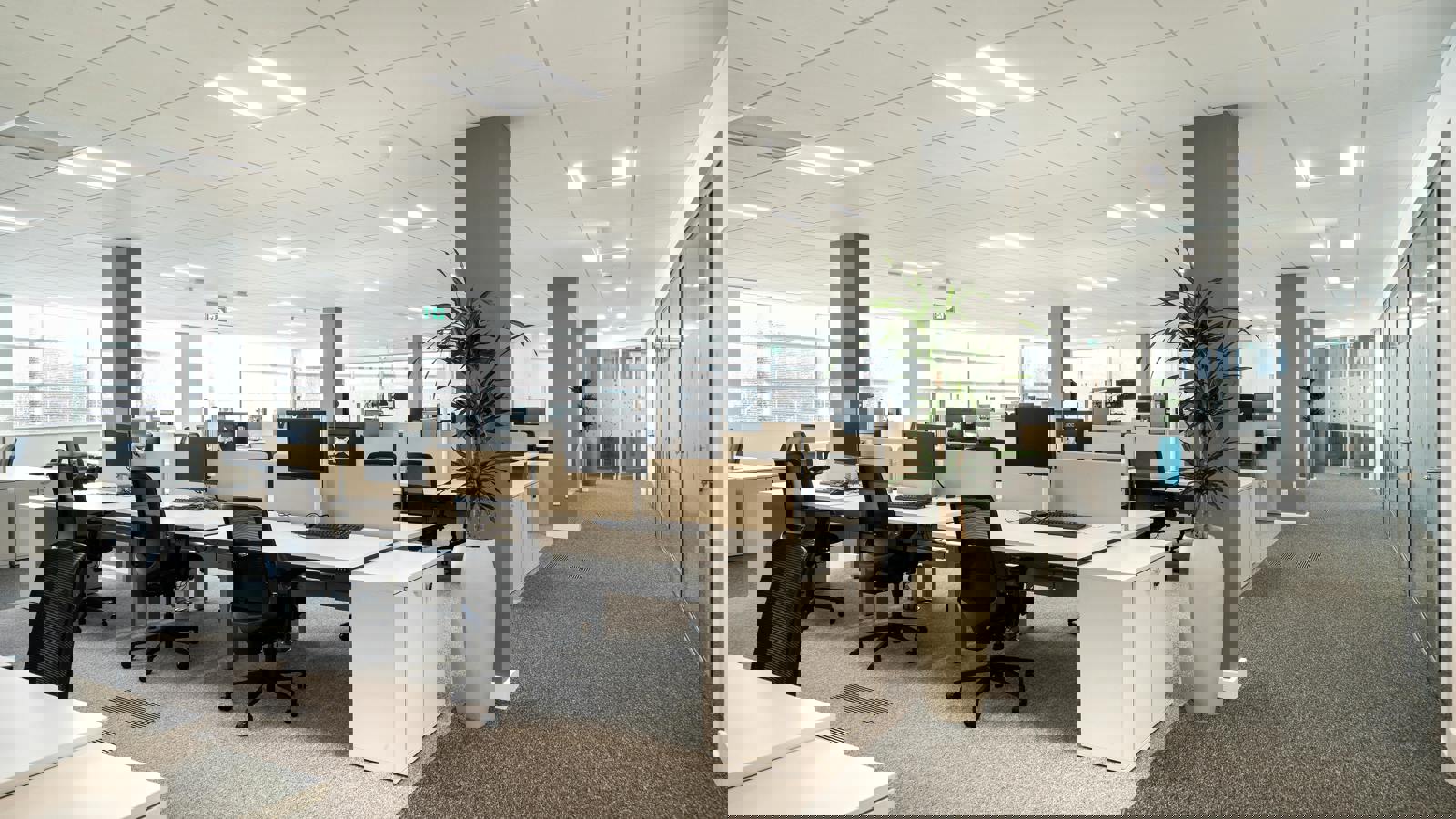 12bGrantaPark-35.jpg 12bGrantaPark-35