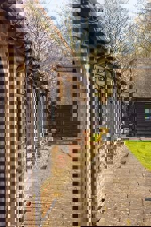  Balsham,  Cambridge,  Cambridgeshire,  CB21 4EP picture 6