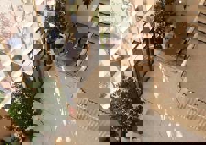  Cambridge,  CB21 5XE picture 3