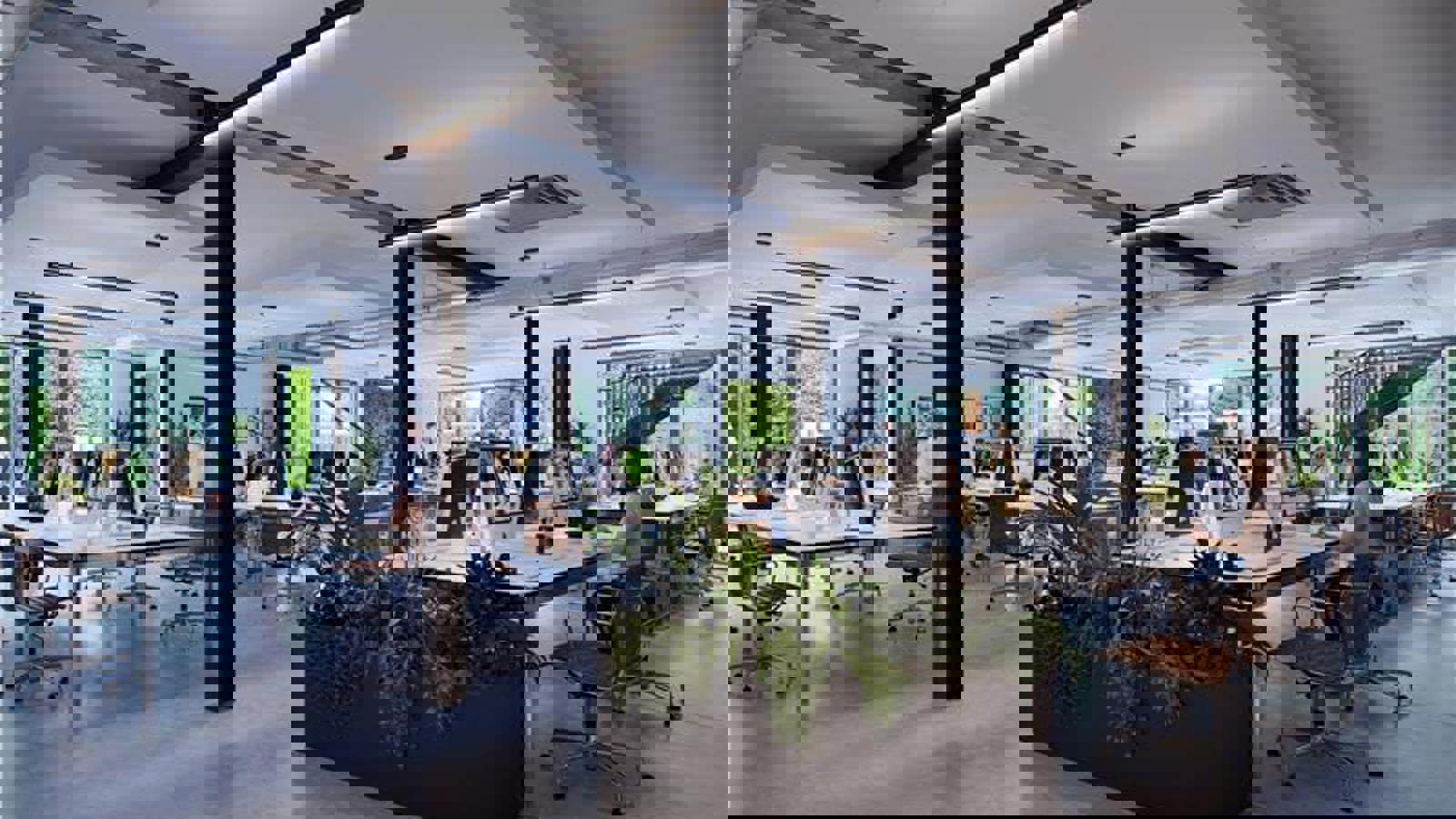 Image 8.jpeg Image 3