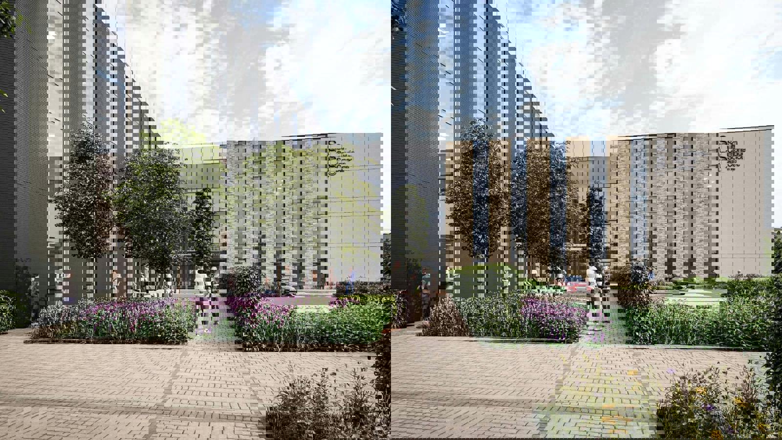 A9ssuo50_15ngicb_2fc