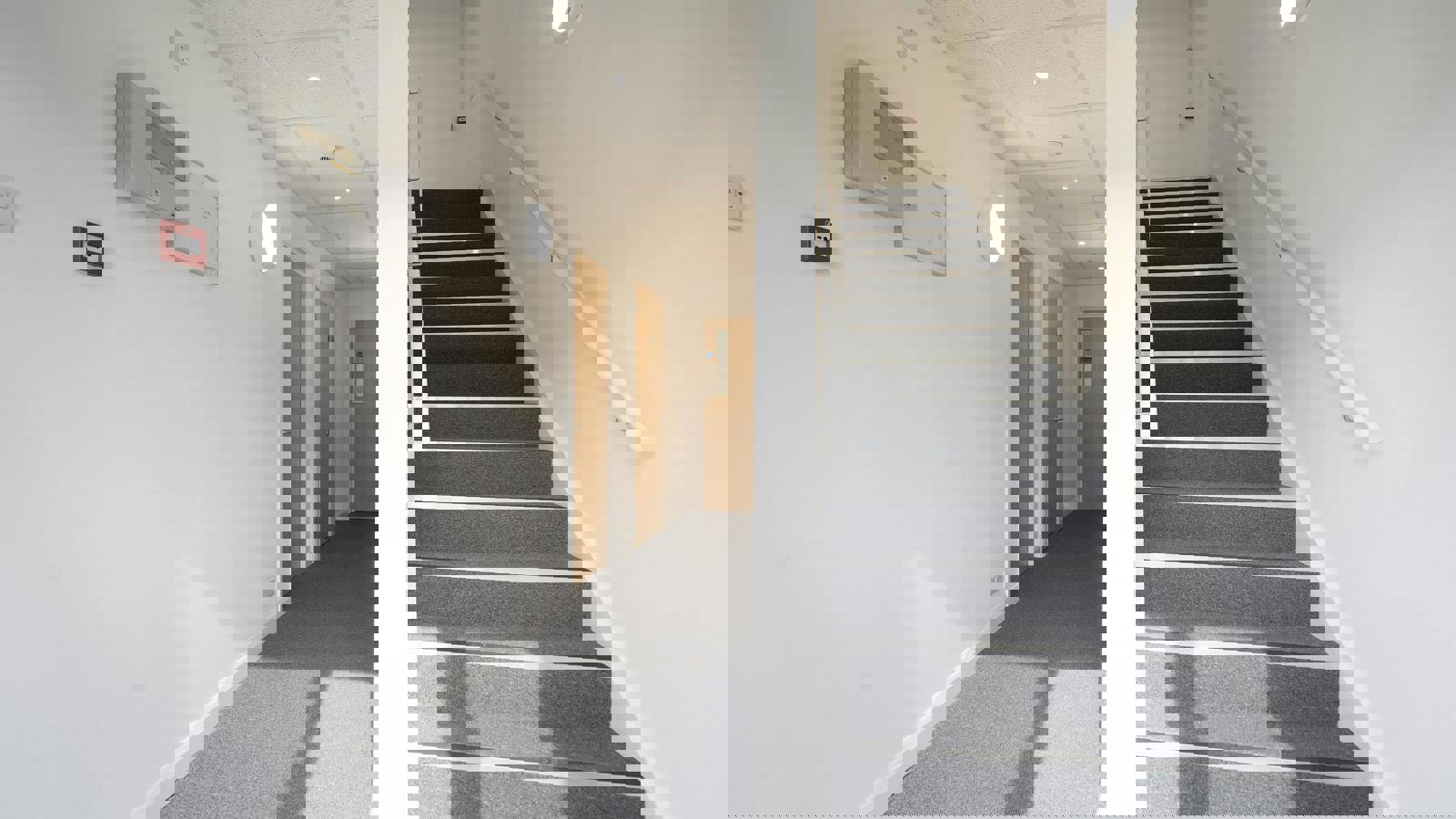 IW110824CA035.jpg IW110824CA035