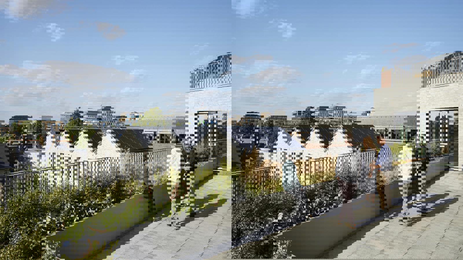 250620_Brooklands_JackHobhouse_060