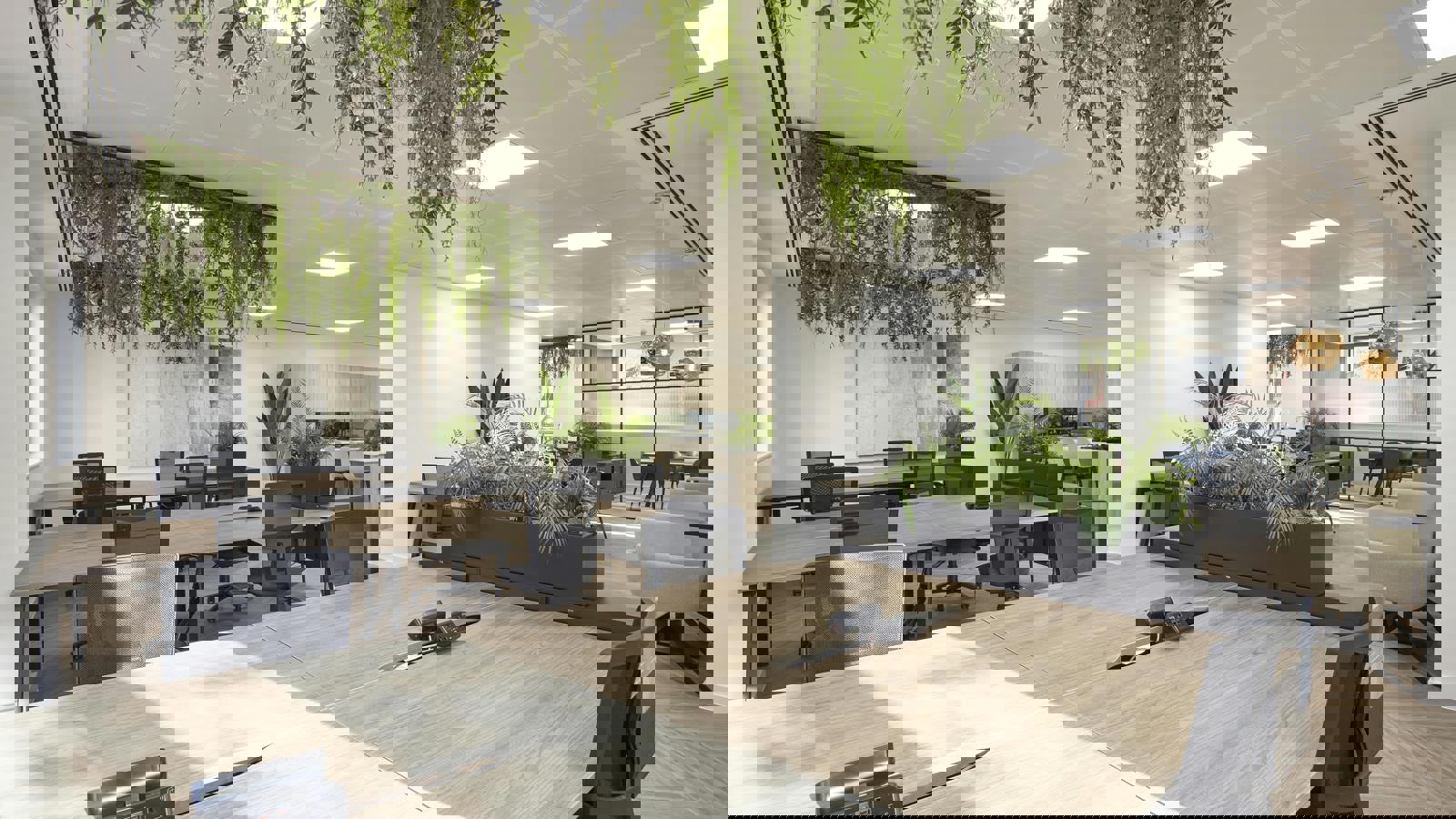 Image 6.jpeg Image 6