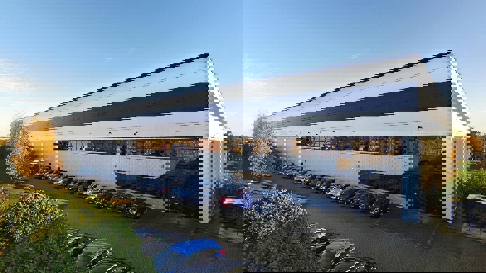 TWgrd43ed1.jpg TWgrd43ed