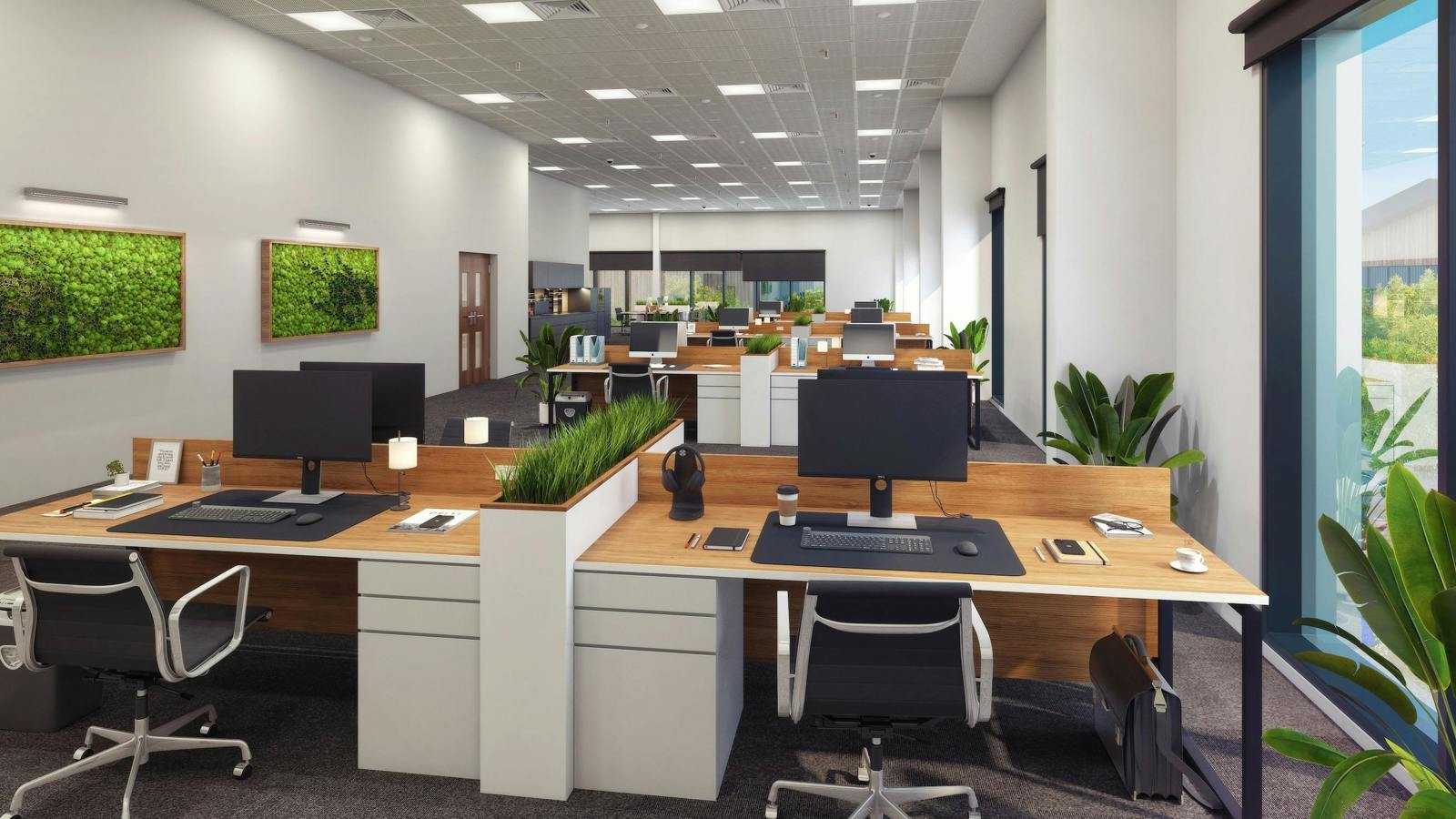 Image 6.jpeg Image 2