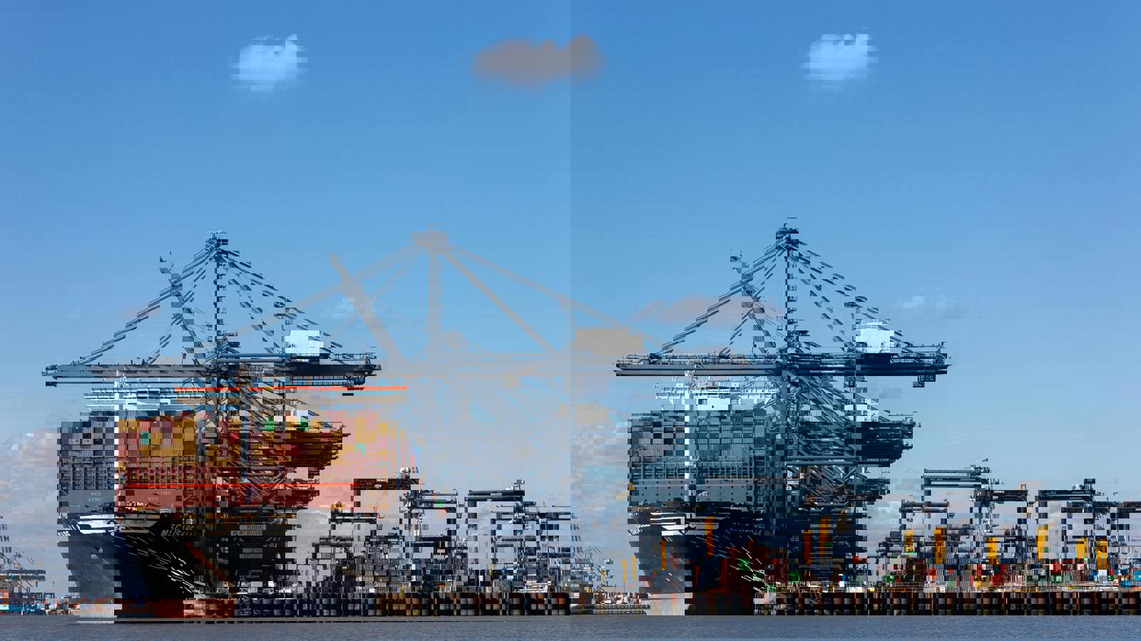 Image 10.jpeg Image 5