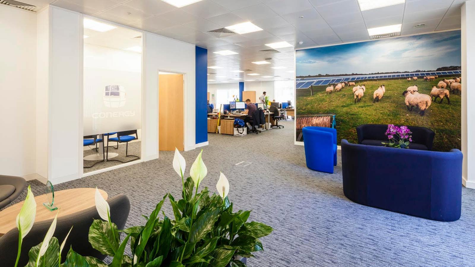 Image 4.jpeg Image 4