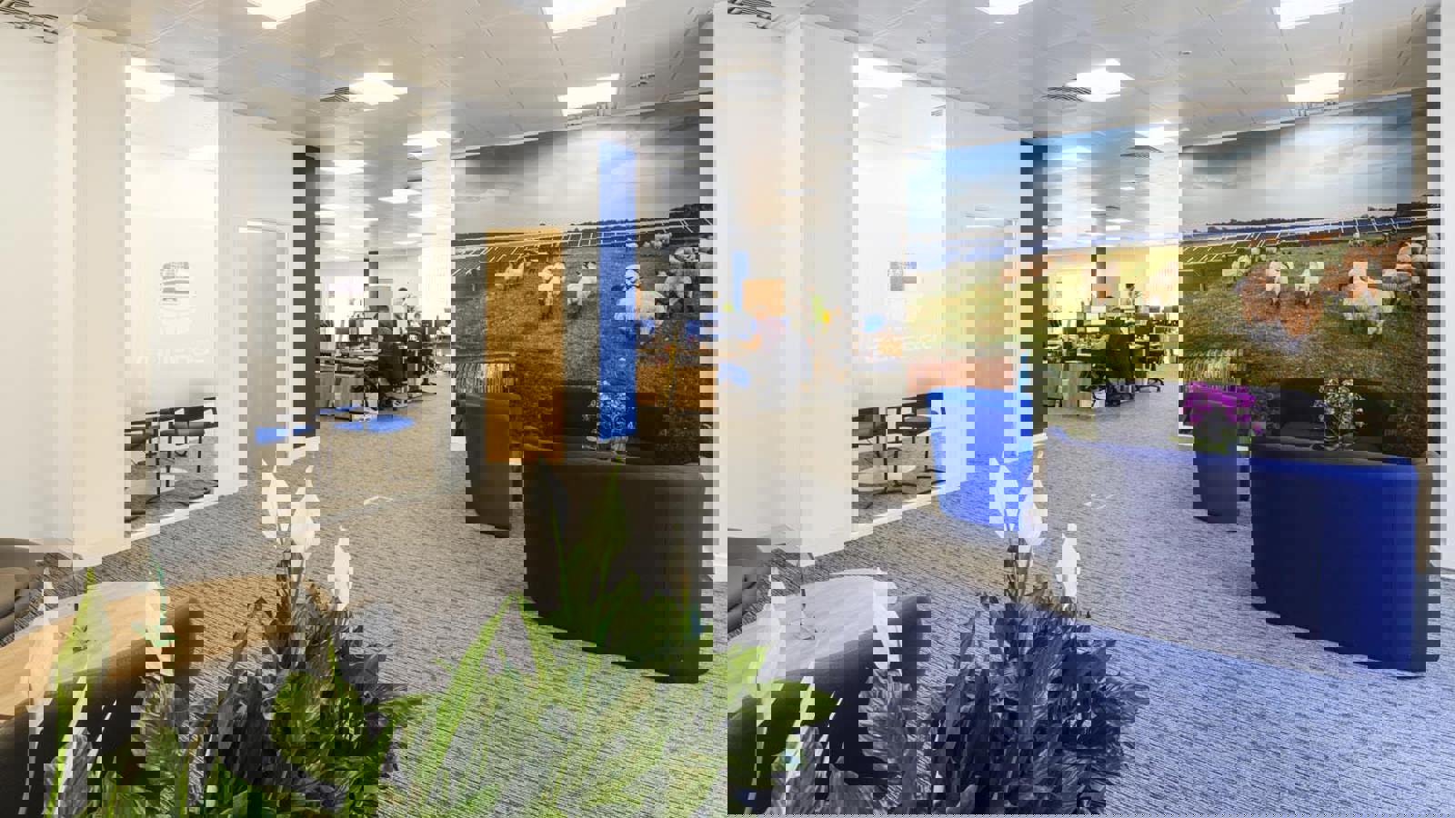 Image 4.jpeg Image 4