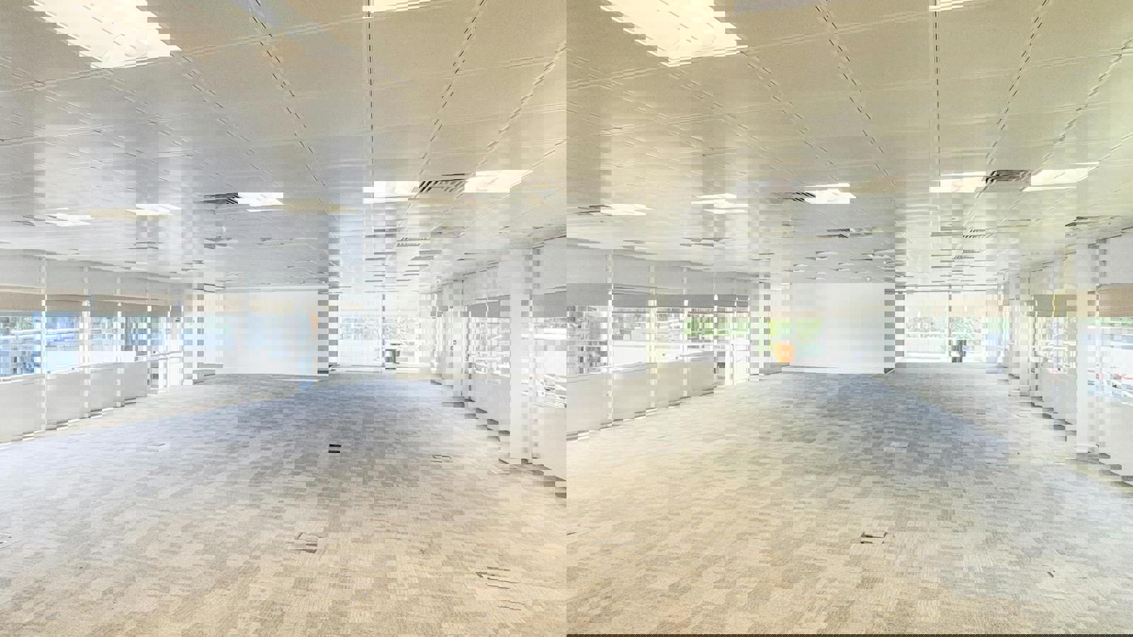 IMG_43810.jpg IMG_4387