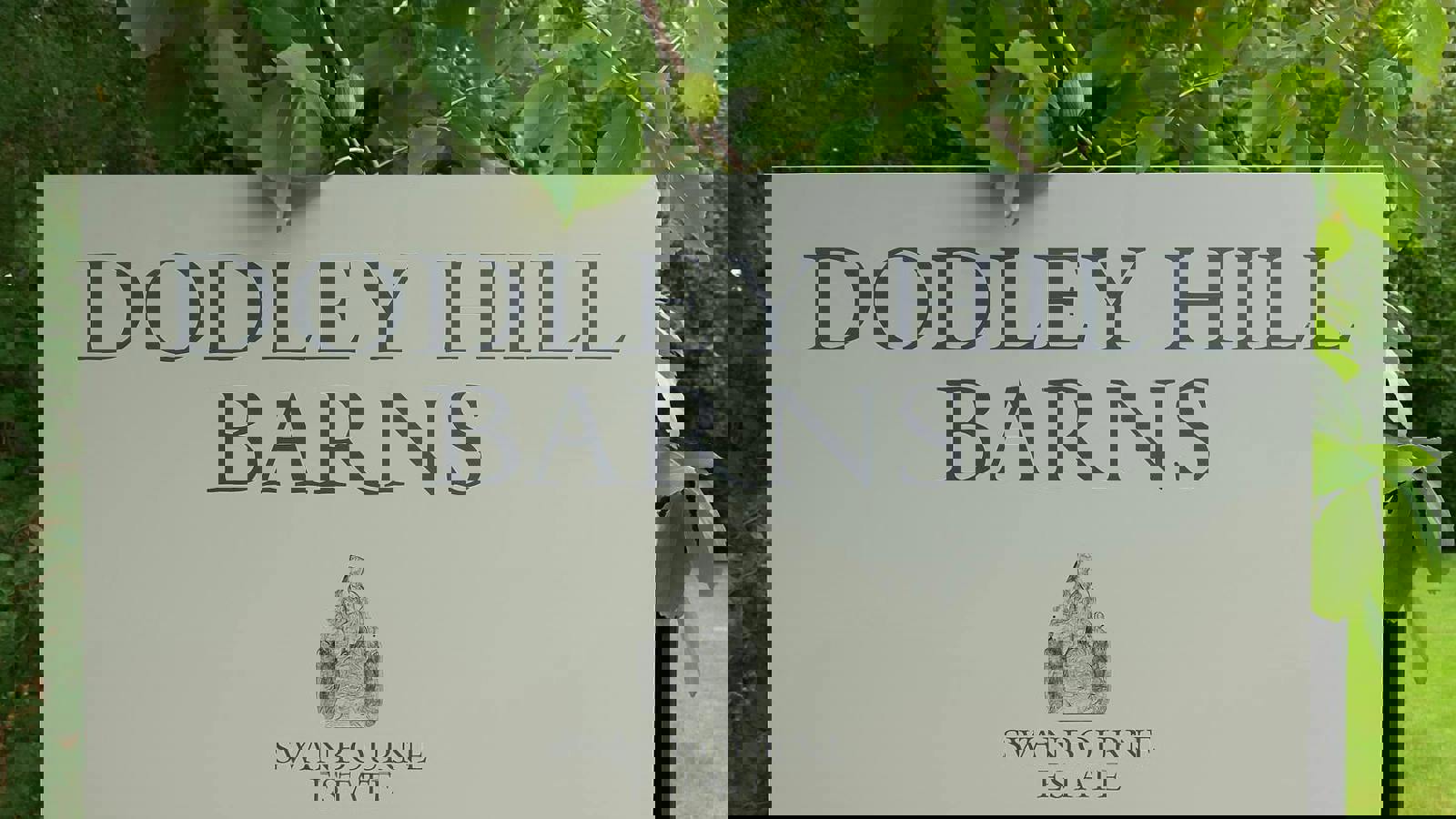 Image 4.jpeg Image 4