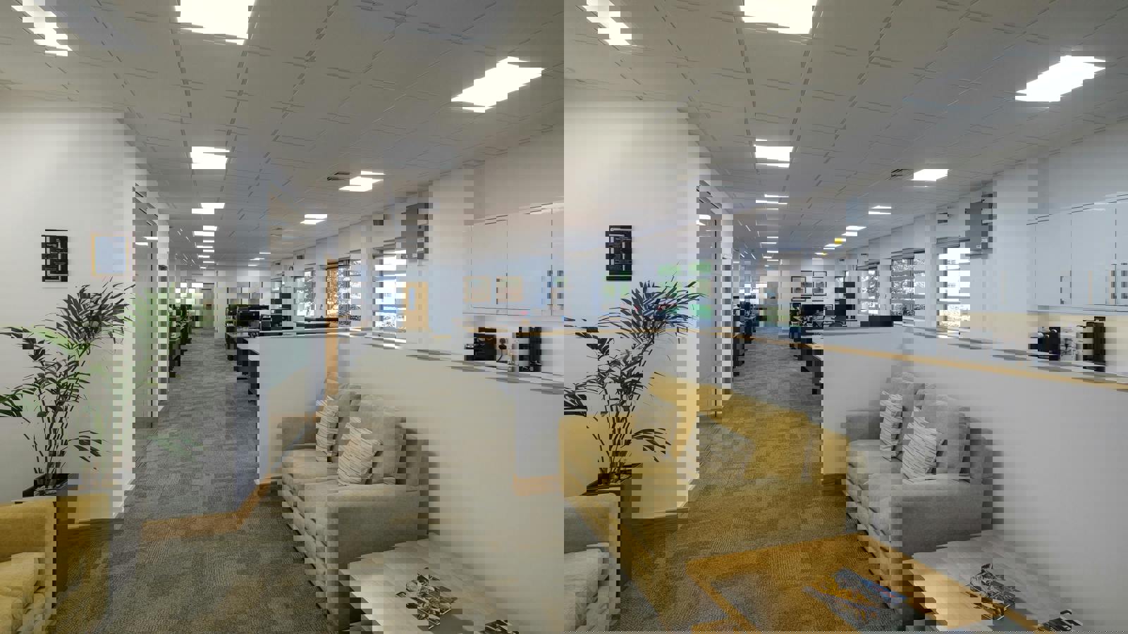 Image 4.jpeg Image 4